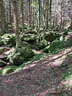 VA 2024 Stoneface Bild 115