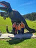 VA 2024 Stoneface Bild 50