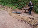 VA 2024 Bad Zell Bild 16