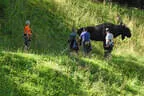 12. Turnier der BSU St. Veit 2024 Bild 44