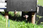 12. Turnier der BSU St. Veit 2024 Bild 48