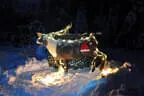 Zipfikoppnschiassn Bild 10