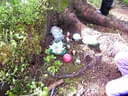 Sommerumbau 2025 Bild 12