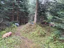 Sommerumbau 2025 Bild 5