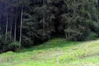 19. Glemmerehofturnier 2025 Bild 30