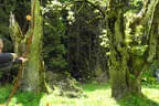 19. Glemmerehofturnier 2025 Bild 55