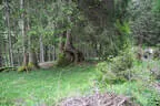 19. Glemmerehofturnier 2025 Bild 62
