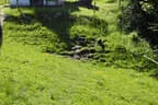 5. Watschenbachturnier 2025 Bild 32