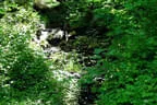 5. Watschenbachturnier 2025 Bild 38