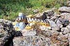 Bruggeralmchallenge 2025 Bild 158