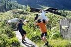 Bruggeralmchallenge 2025 Bild 166