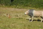 Stallersattelchallenge 2025 Teil 1 Bild 49