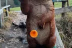 1. Blasrohrchallenge 2025 Bild 55