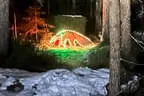 Putzdunkl 2025 Bild 77