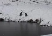 Winterparcours Final Target
