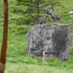 30.-Sonnblickturnier-Rauris-2025