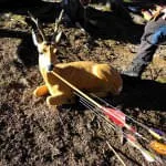 16.-Saalfeldener-Winterturnier-2025