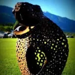 26.-Scharnitzer-Speckschiessen-2024